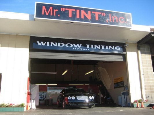 Mr Tint
