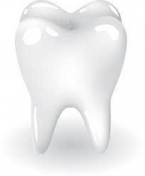 Steven D Soares, DDS