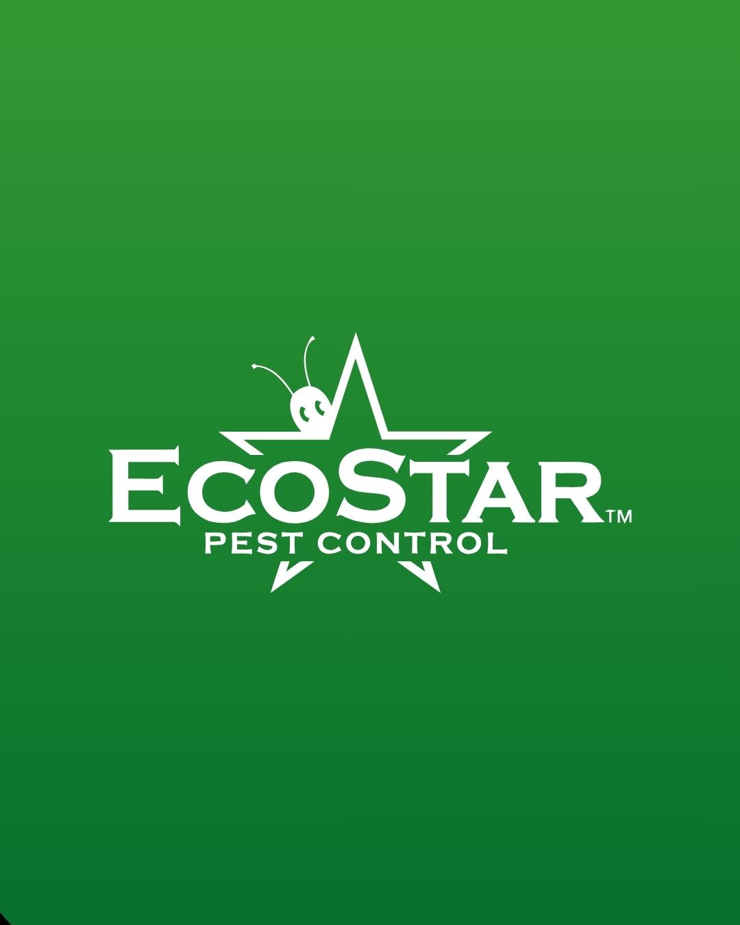 Pest Control Service in Fort Worth Dallas, TX